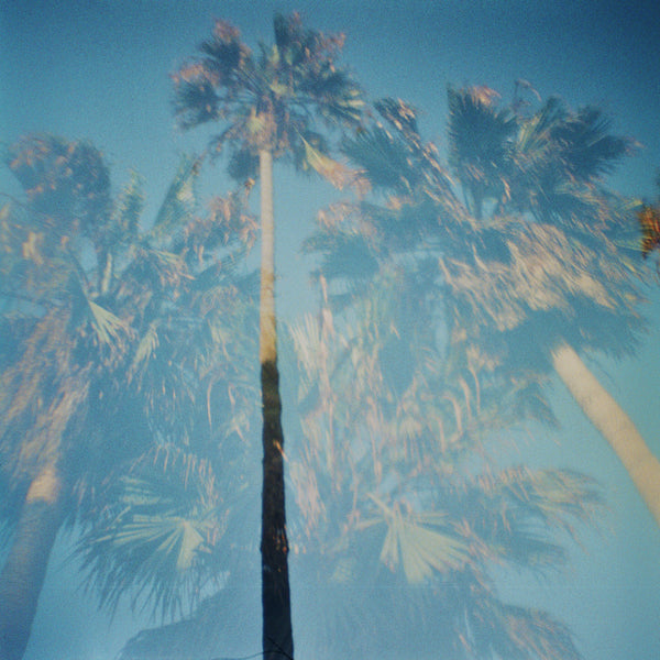 California - Limited Edition of 5 Photograph by Torrey West